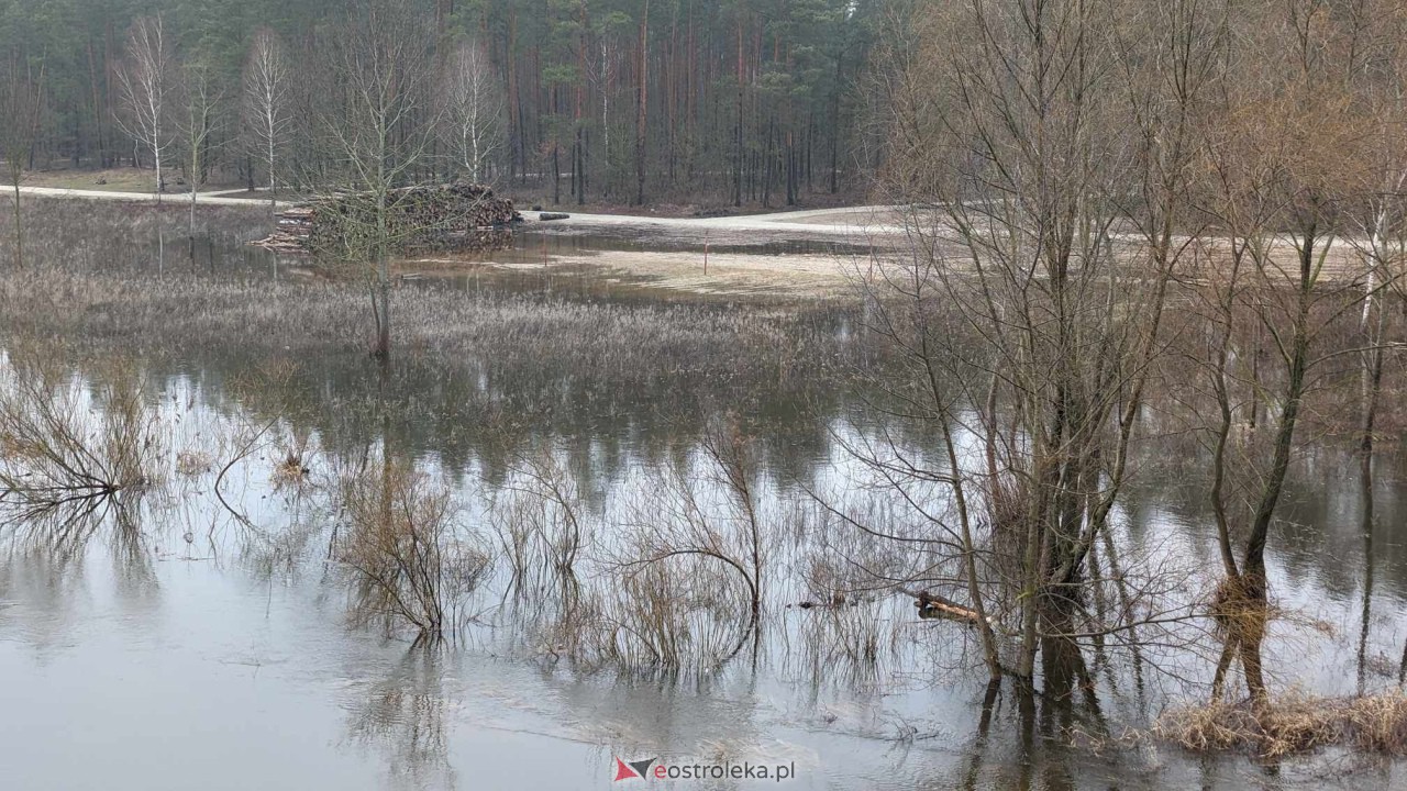 Poziom wody w Narwi - stan z 11 lutego 2024 [11.02.2024] - zdjęcie #98 - eOstroleka.pl
