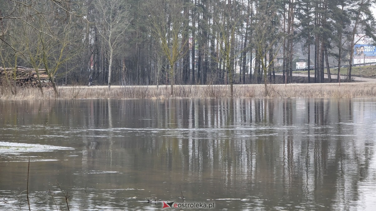 Poziom wody w Narwi - stan z 11 lutego 2024 [11.02.2024] - zdjęcie #10 - eOstroleka.pl