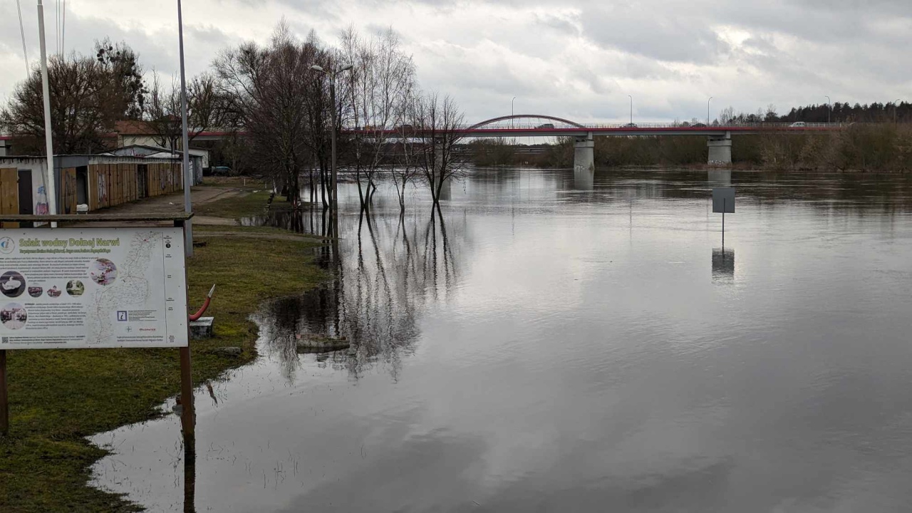 Rzeka Narew w Ostrołęce [17.02.2024] - zdjęcie #6 - eOstroleka.pl