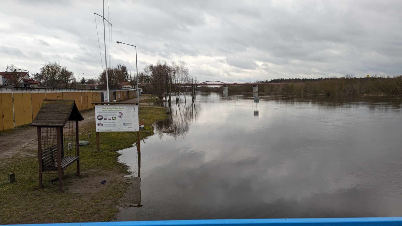 Rzeka Narew w Ostrołęce [17.02.2024] - zdjęcie #9 - eOstroleka.pl