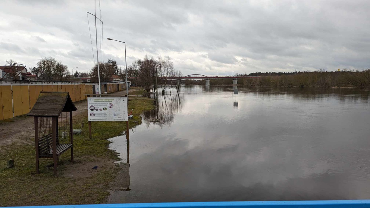 Rzeka Narew w Ostrołęce [17.02.2024] - zdjęcie #5 - eOstroleka.pl