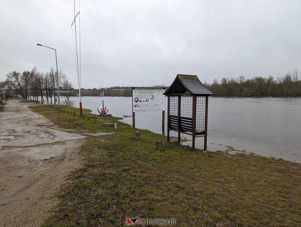 Rzeka Narew w Ostrołęce [21.02.2024] - zdjęcie #7 - eOstroleka.pl