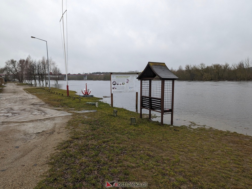 Rzeka Narew w Ostrołęce [21.02.2024] - zdjęcie #17 - eOstroleka.pl