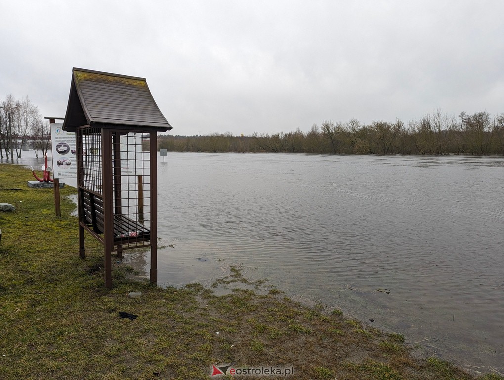 Rzeka Narew w Ostrołęce [21.02.2024] - zdjęcie #16 - eOstroleka.pl
