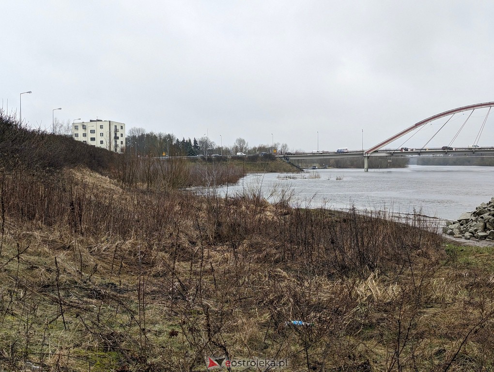 Rzeka Narew w Ostrołęce [21.02.2024] - zdjęcie #2 - eOstroleka.pl