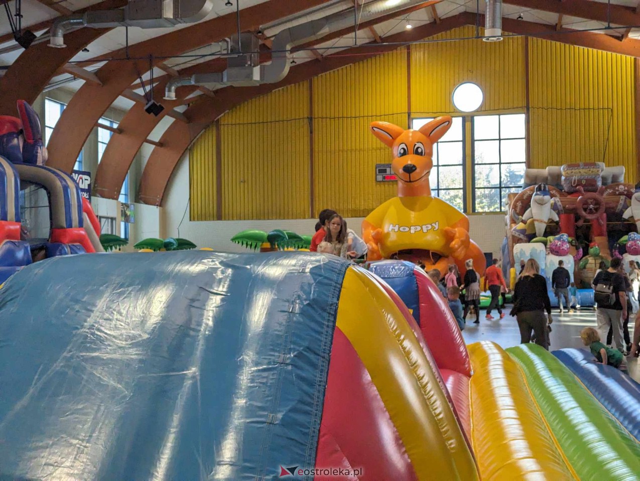 Festiwal Dmuchańców w Ostrołęce [25.02.2024] - zdjęcie #39 - eOstroleka.pl