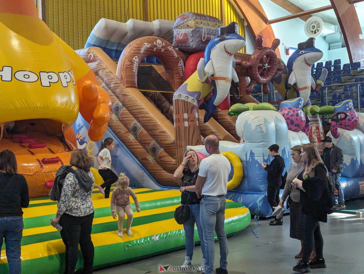 Festiwal Dmuchańców w Ostrołęce [25.02.2024] - zdjęcie #37 - eOstroleka.pl