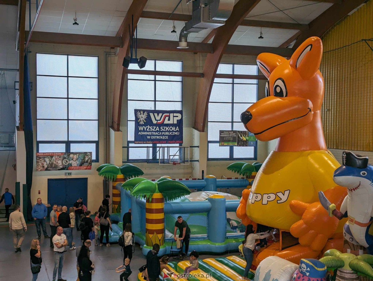 Festiwal Dmuchańców w Ostrołęce [25.02.2024] - zdjęcie #34 - eOstroleka.pl