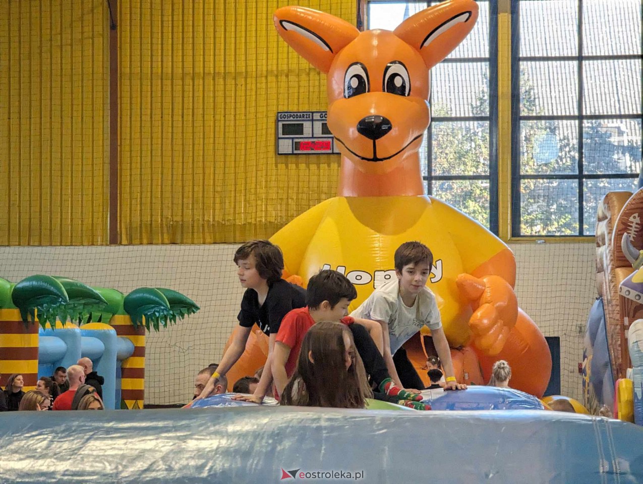 Festiwal Dmuchańców w Ostrołęce [25.02.2024] - zdjęcie #28 - eOstroleka.pl