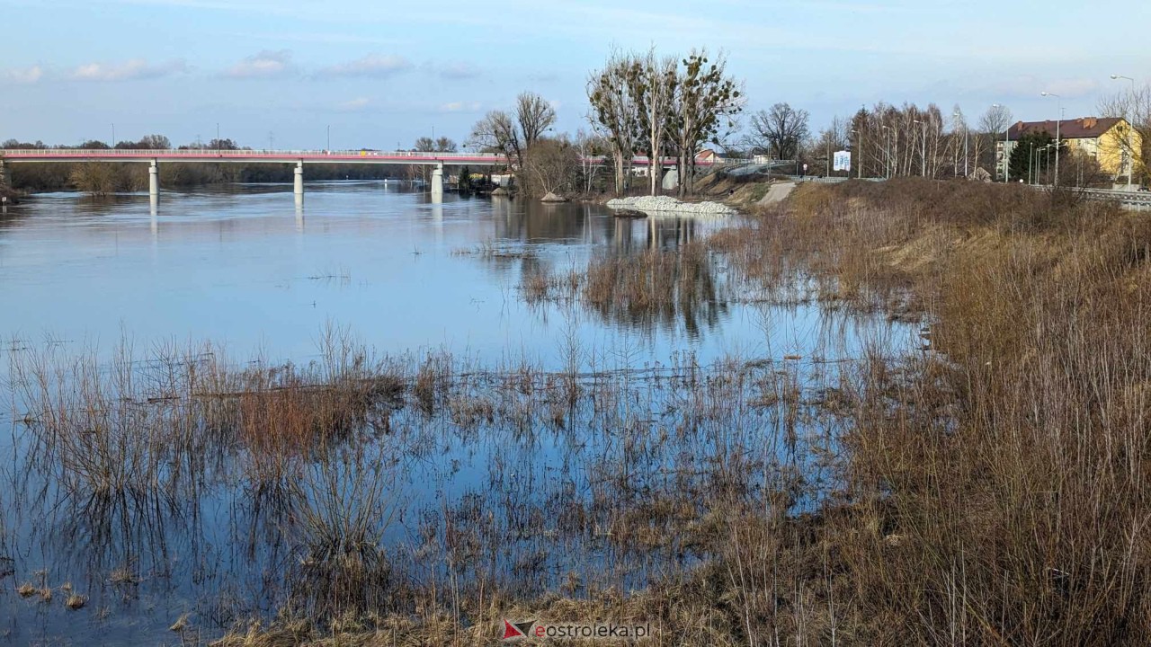 Wysoki stan rzeki Narew [25.02.2024] - zdjęcie #66 - eOstroleka.pl