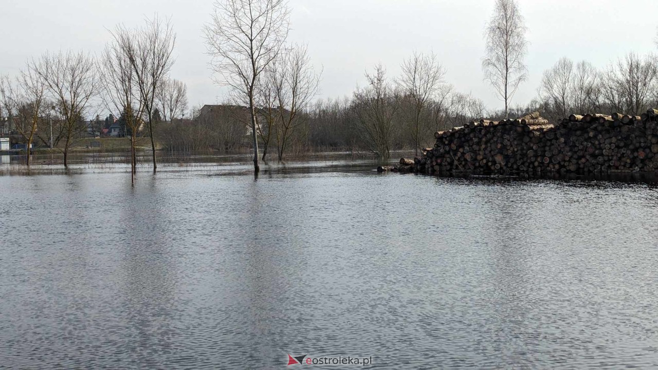 Wysoki stan rzeki Narew [25.02.2024] - zdjęcie #24 - eOstroleka.pl