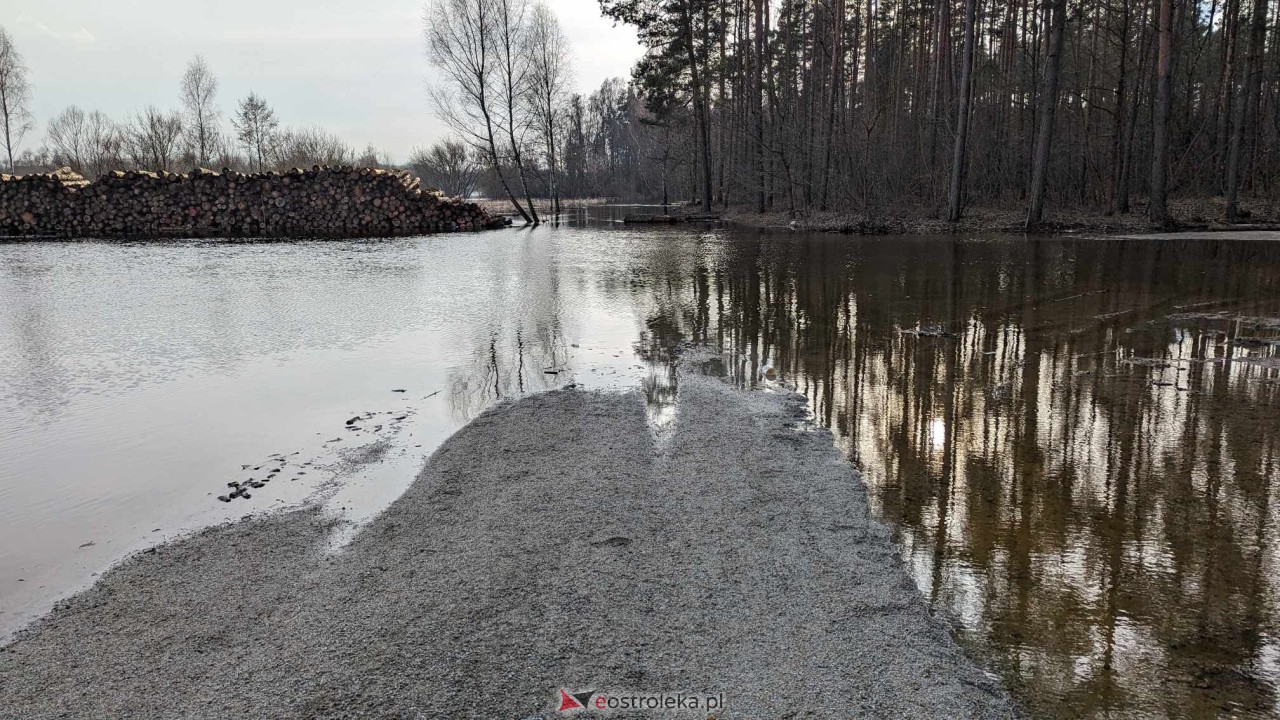 Wysoki stan rzeki Narew [25.02.2024] - zdjęcie #21 - eOstroleka.pl