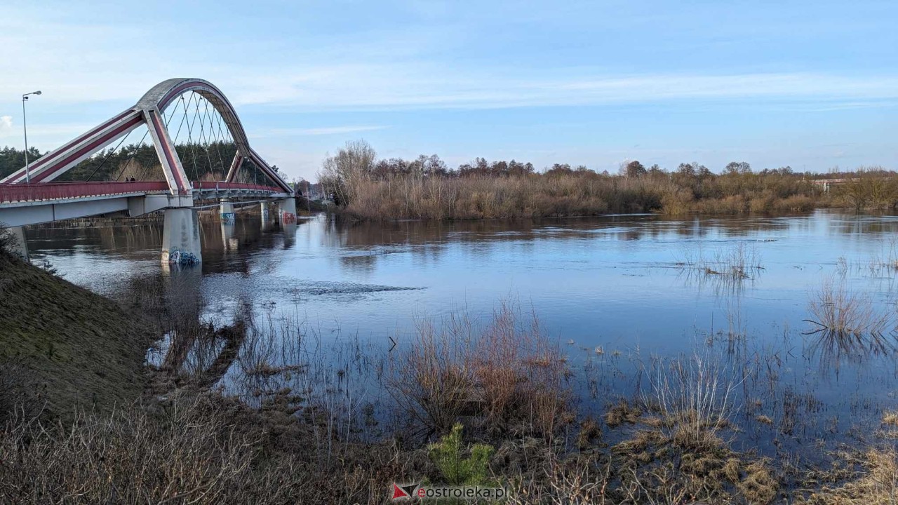 Wysoki stan rzeki Narew [25.02.2024] - zdjęcie #65 - eOstroleka.pl