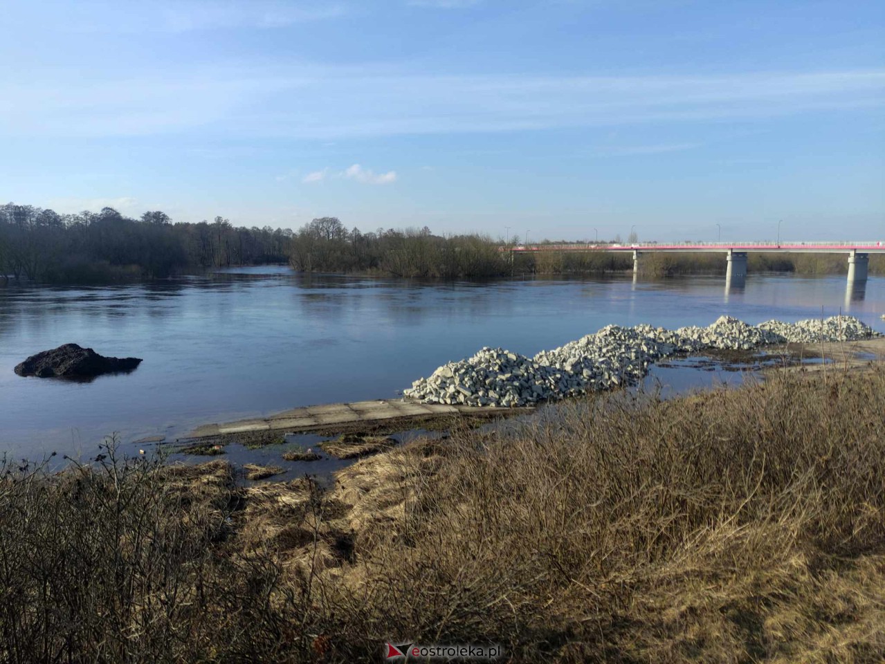 Wysoki stan rzeki Narew [25.02.2024] - zdjęcie #62 - eOstroleka.pl