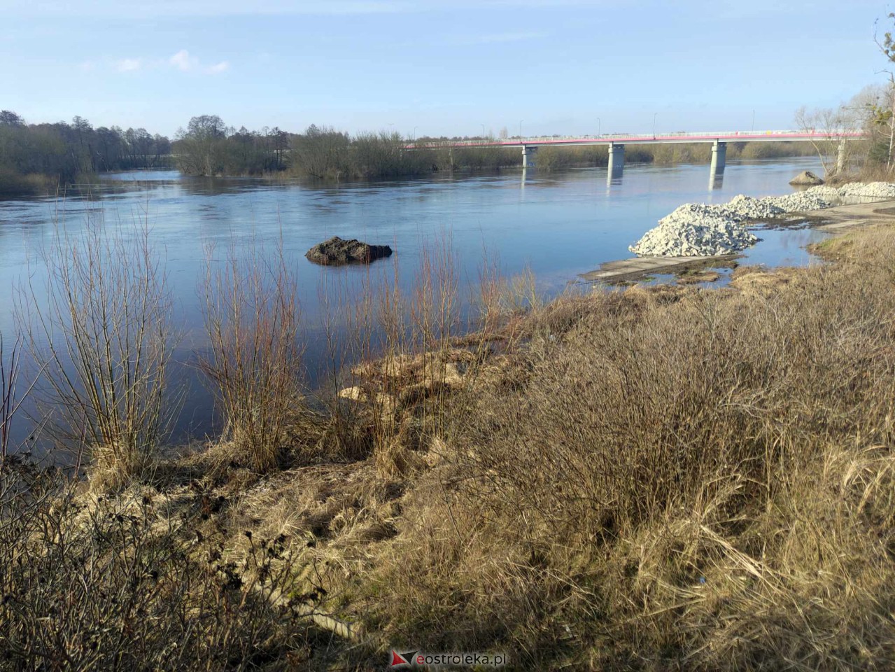 Wysoki stan rzeki Narew [25.02.2024] - zdjęcie #60 - eOstroleka.pl