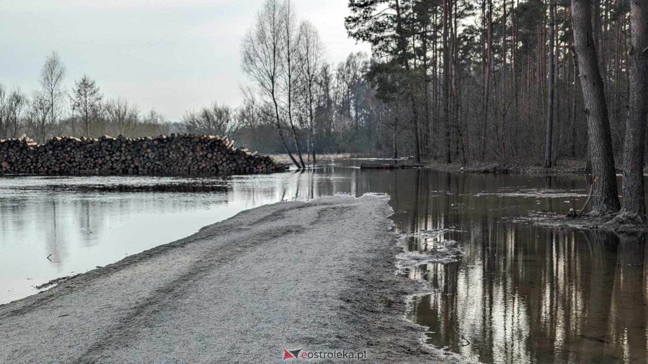 Wysoki stan rzeki Narew [25.02.2024] - zdjęcie #17 - eOstroleka.pl