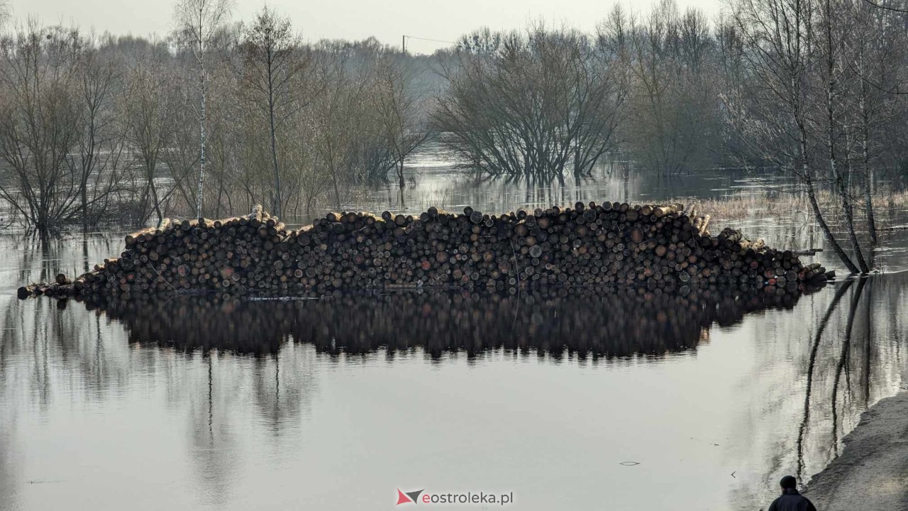 Wysoki stan rzeki Narew [25.02.2024] - zdjęcie #16 - eOstroleka.pl