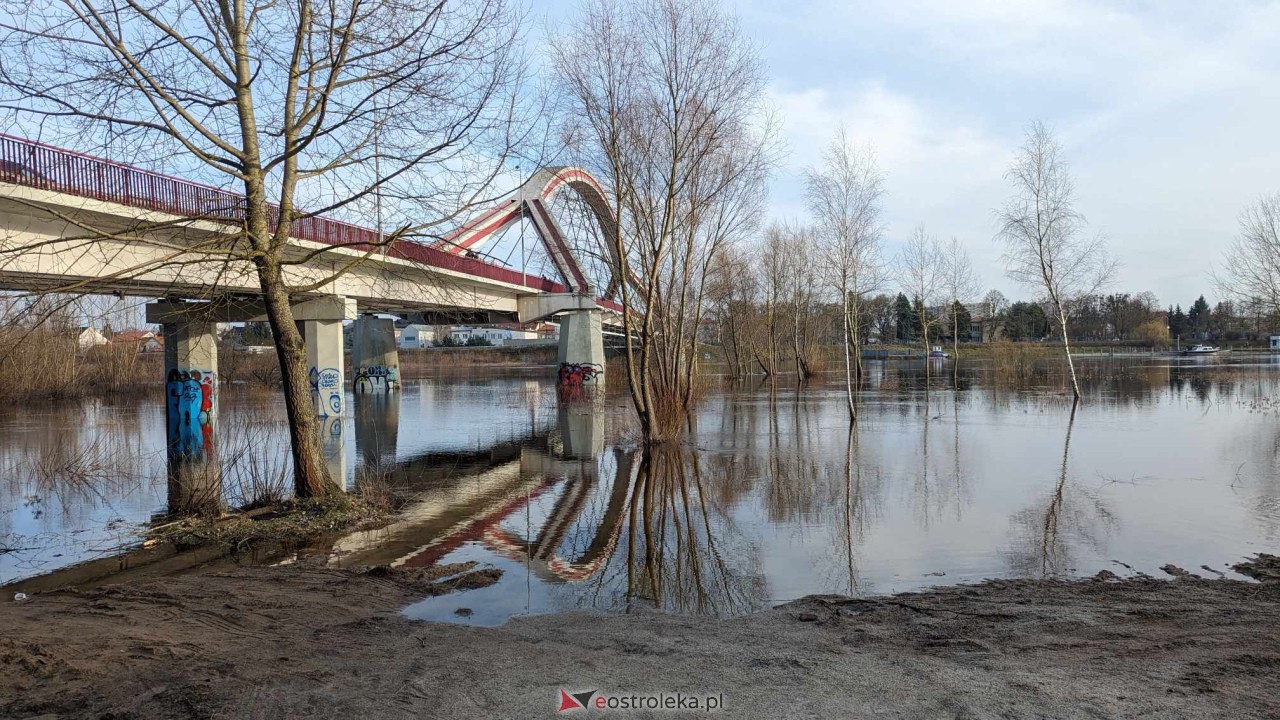 Wysoki stan rzeki Narew [25.02.2024] - zdjęcie #15 - eOstroleka.pl