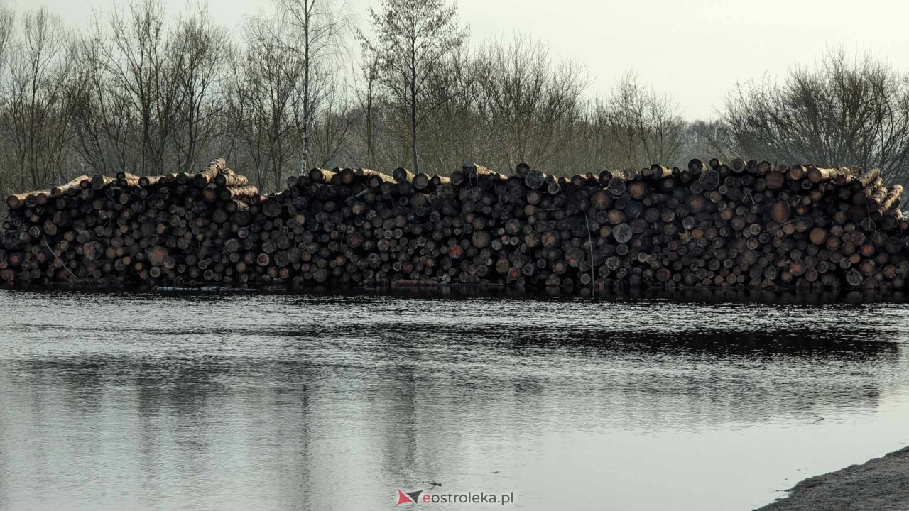Wysoki stan rzeki Narew [25.02.2024] - zdjęcie #11 - eOstroleka.pl