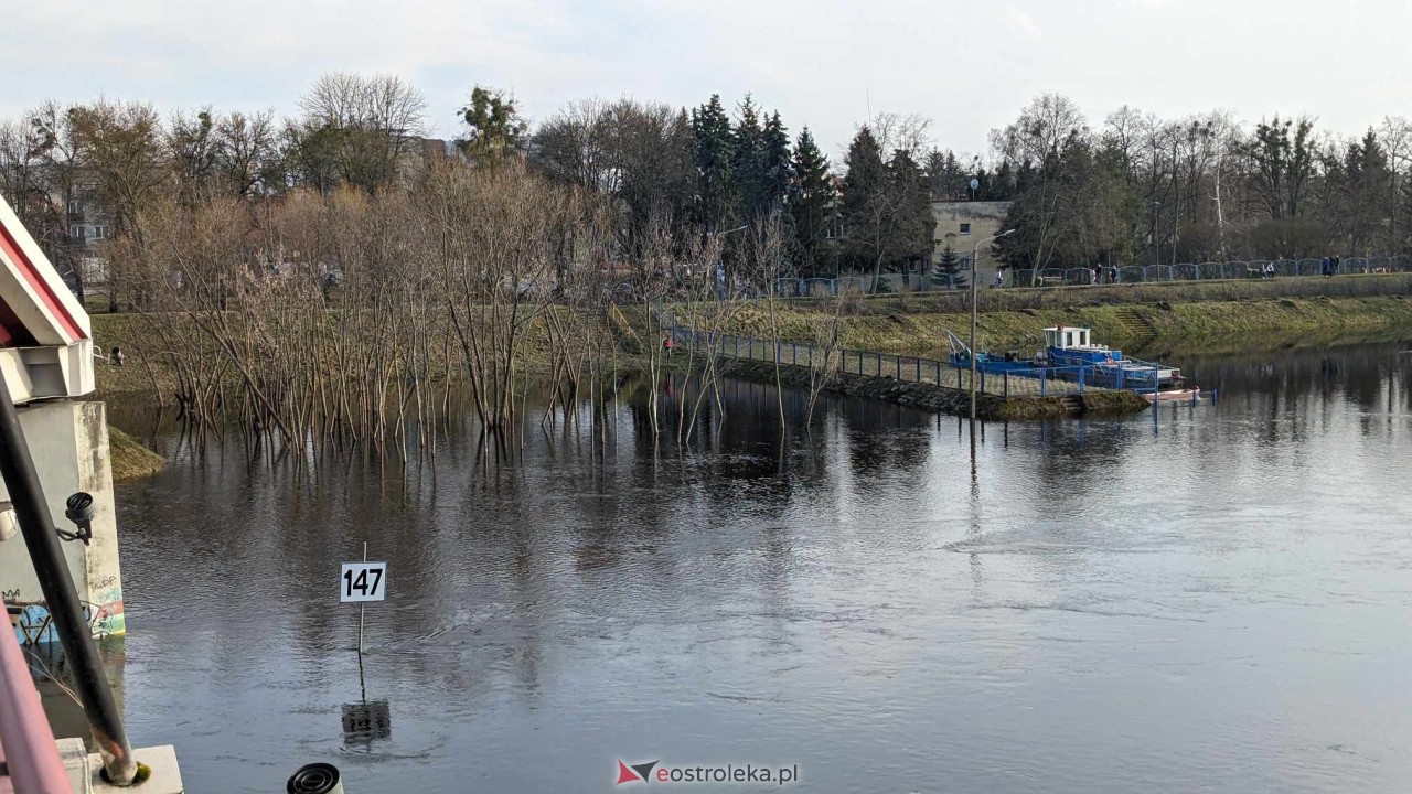 Wysoki stan rzeki Narew [25.02.2024] - zdjęcie #9 - eOstroleka.pl