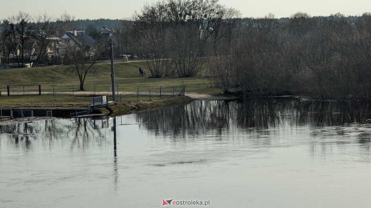 Wysoki stan rzeki Narew [25.02.2024] - zdjęcie #8 - eOstroleka.pl