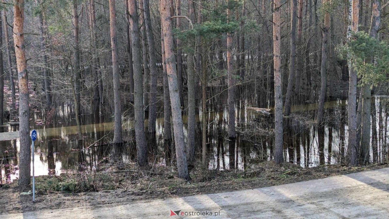 Wysoki stan rzeki Narew [25.02.2024] - zdjęcie #7 - eOstroleka.pl