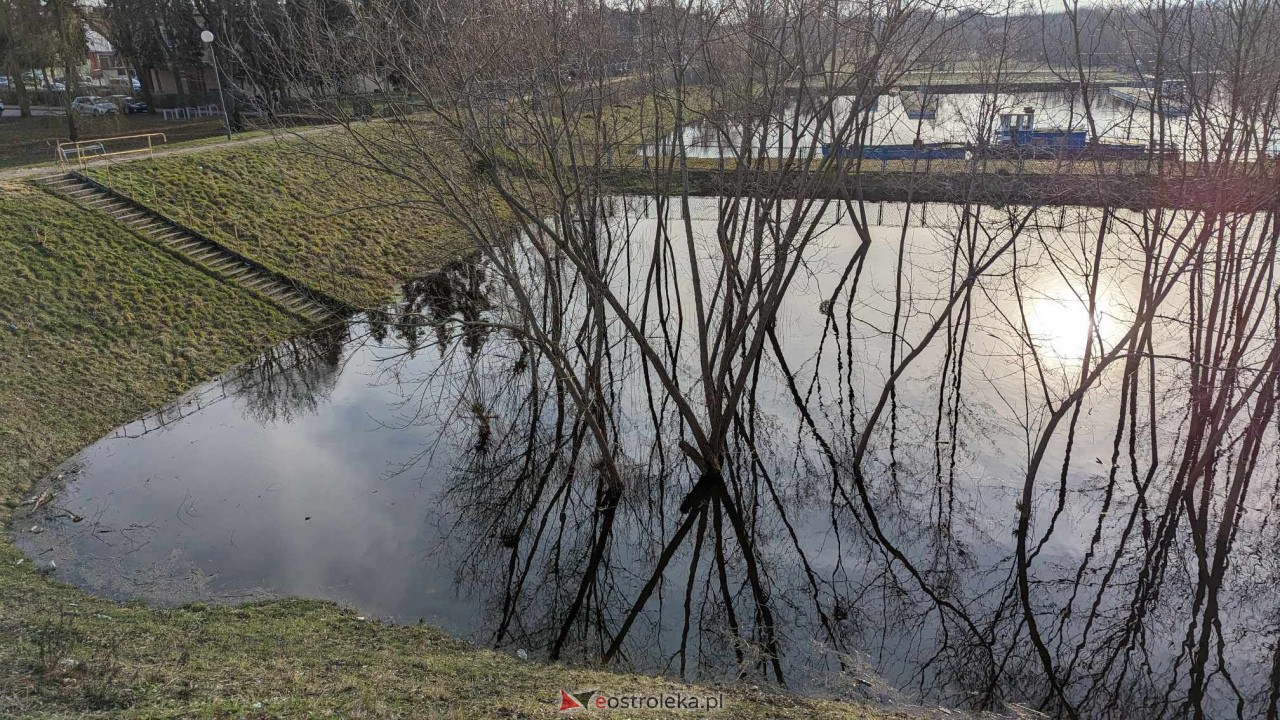Wysoki stan rzeki Narew [25.02.2024] - zdjęcie #54 - eOstroleka.pl