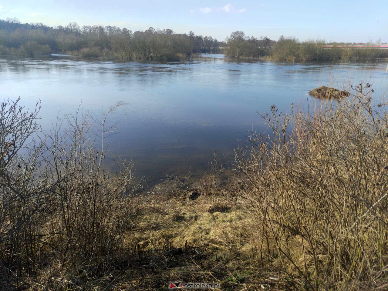 Wysoki stan rzeki Narew [25.02.2024] - zdjęcie #53 - eOstroleka.pl