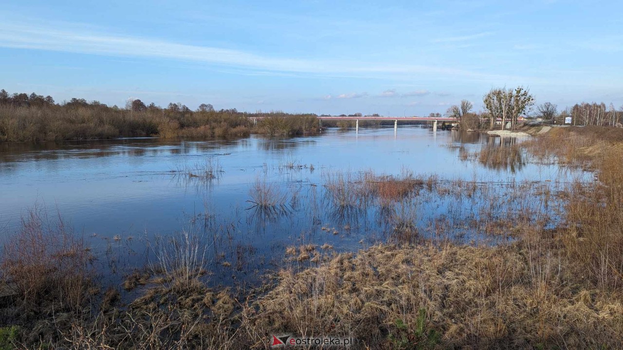 Wysoki stan rzeki Narew [25.02.2024] - zdjęcie #52 - eOstroleka.pl