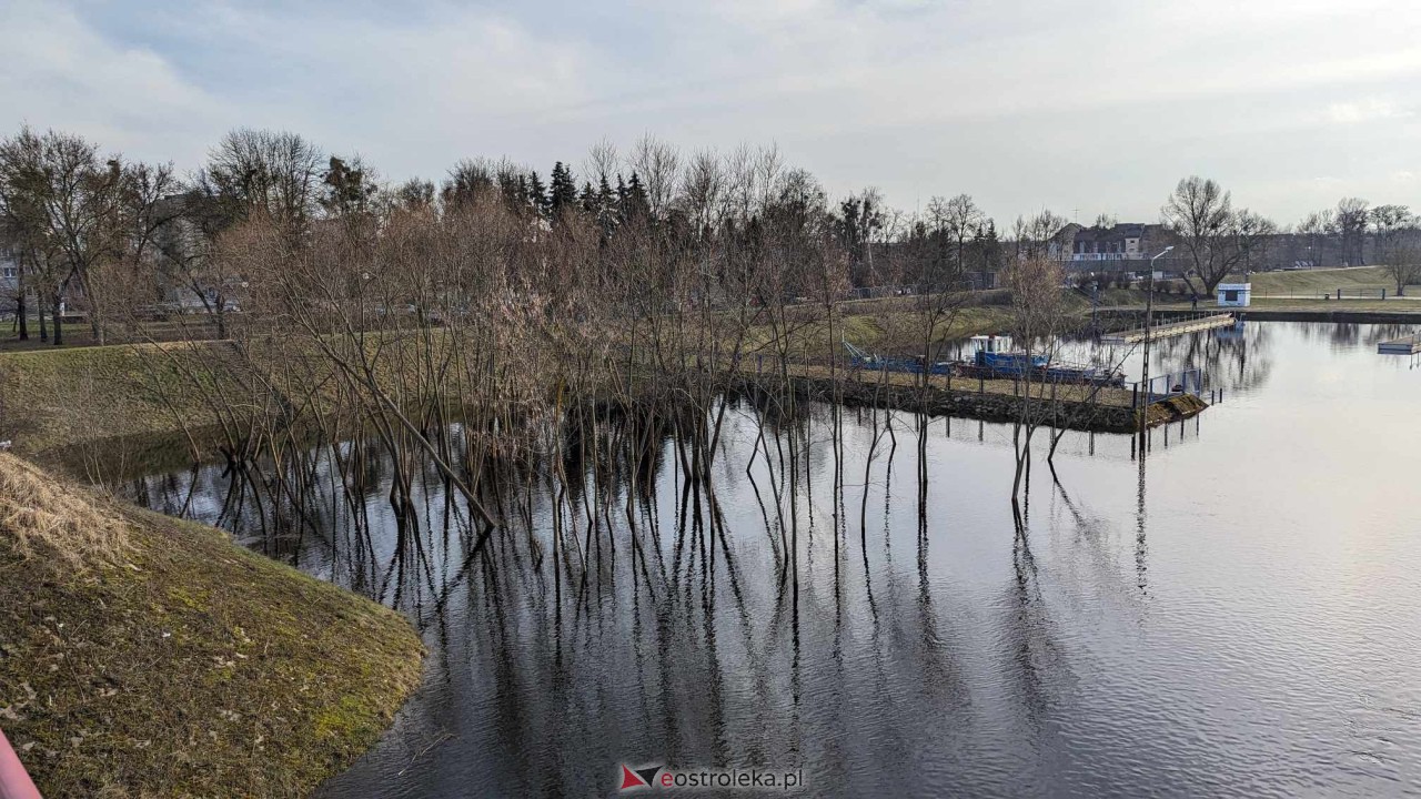 Wysoki stan rzeki Narew [25.02.2024] - zdjęcie #50 - eOstroleka.pl