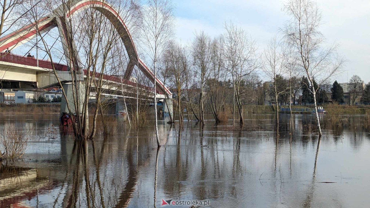 Wysoki stan rzeki Narew [25.02.2024] - zdjęcie #3 - eOstroleka.pl
