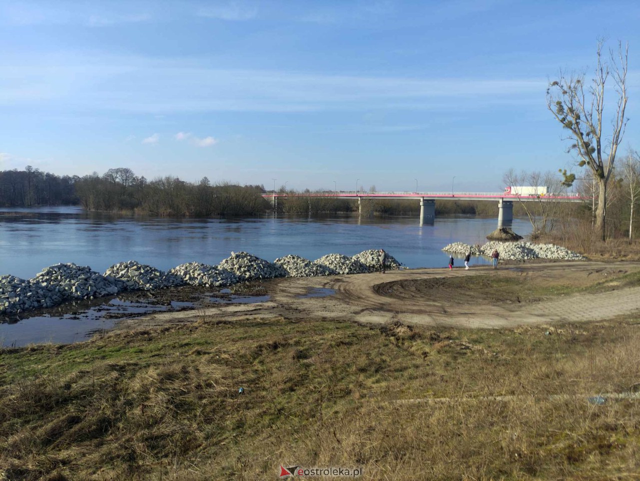 Wysoki stan rzeki Narew [25.02.2024] - zdjęcie #49 - eOstroleka.pl