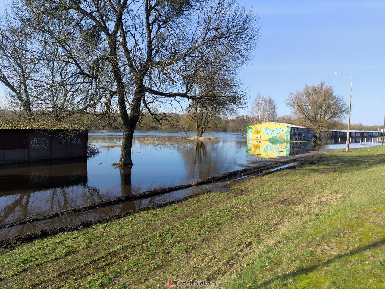 Wysoki stan rzeki Narew [25.02.2024] - zdjęcie #44 - eOstroleka.pl