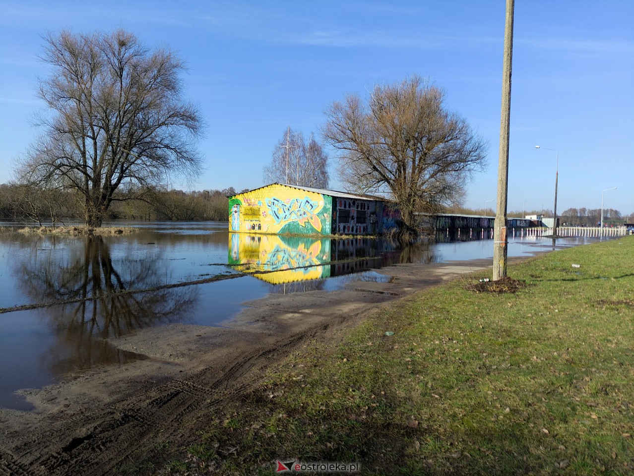 Wysoki stan rzeki Narew [25.02.2024] - zdjęcie #41 - eOstroleka.pl