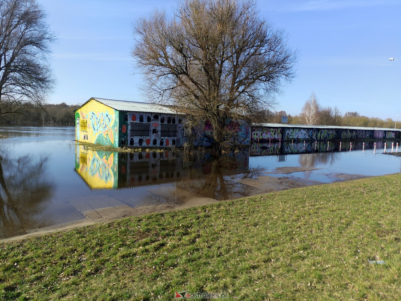 Wysoki stan rzeki Narew [25.02.2024] - zdjęcie #40 - eOstroleka.pl