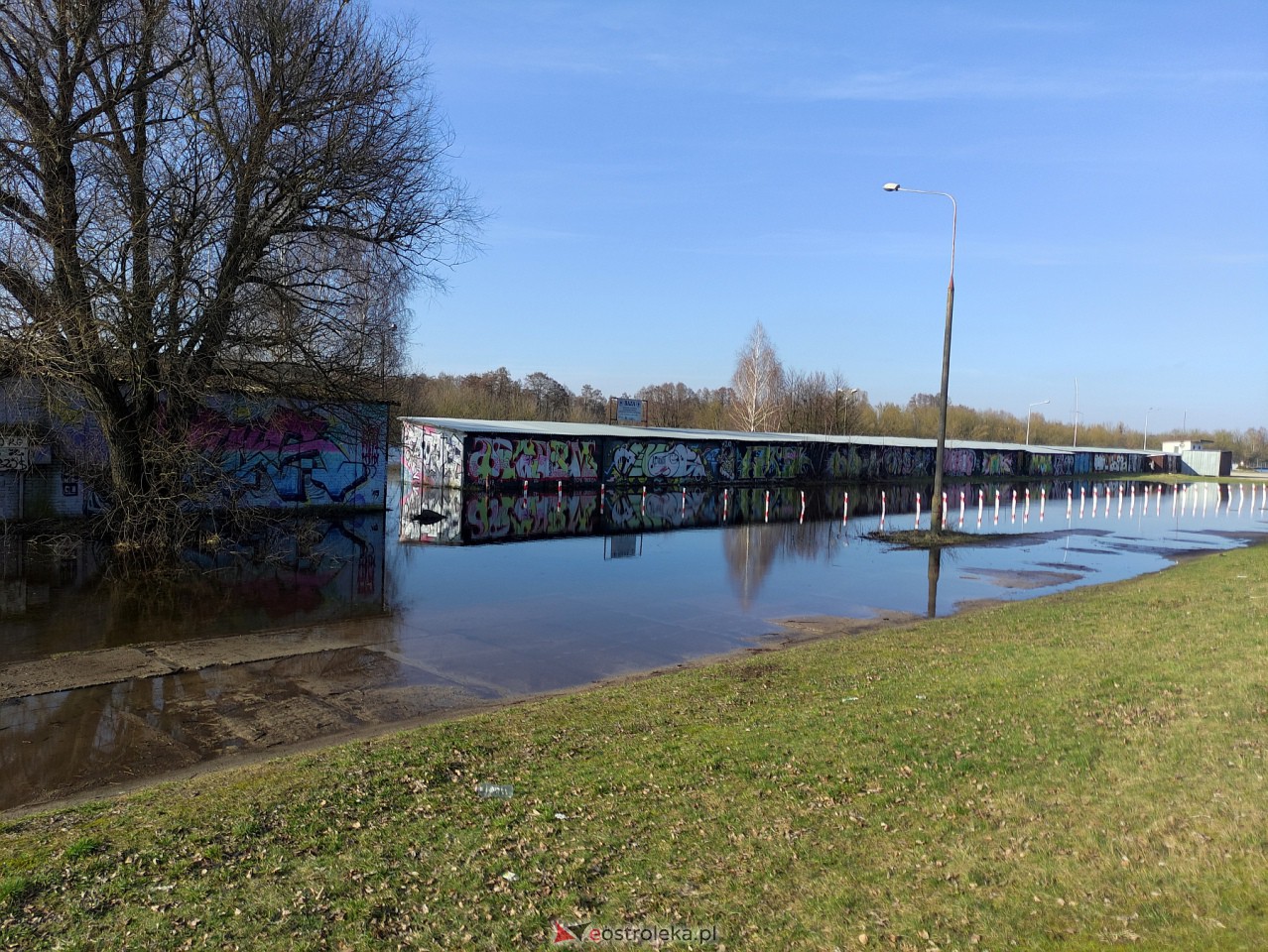 Wysoki stan rzeki Narew [25.02.2024] - zdjęcie #39 - eOstroleka.pl