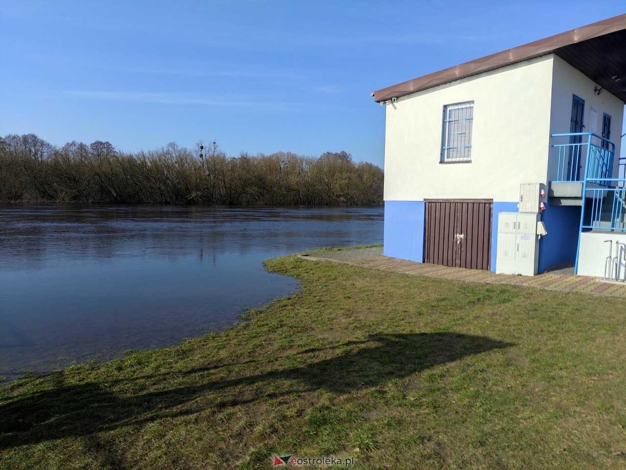 Wysoki stan rzeki Narew [25.02.2024] - zdjęcie #28 - eOstroleka.pl