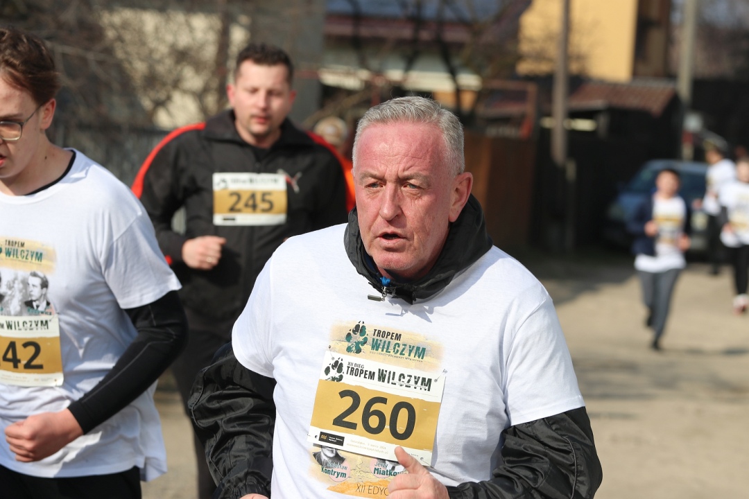Bieg Tropem Wilczym 2024 [03.03.2024] - zdjęcie #177 - eOstroleka.pl