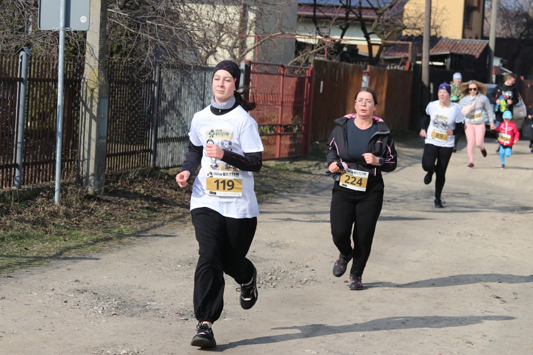 Bieg Tropem Wilczym 2024 [03.03.2024] - zdjęcie #174 - eOstroleka.pl
