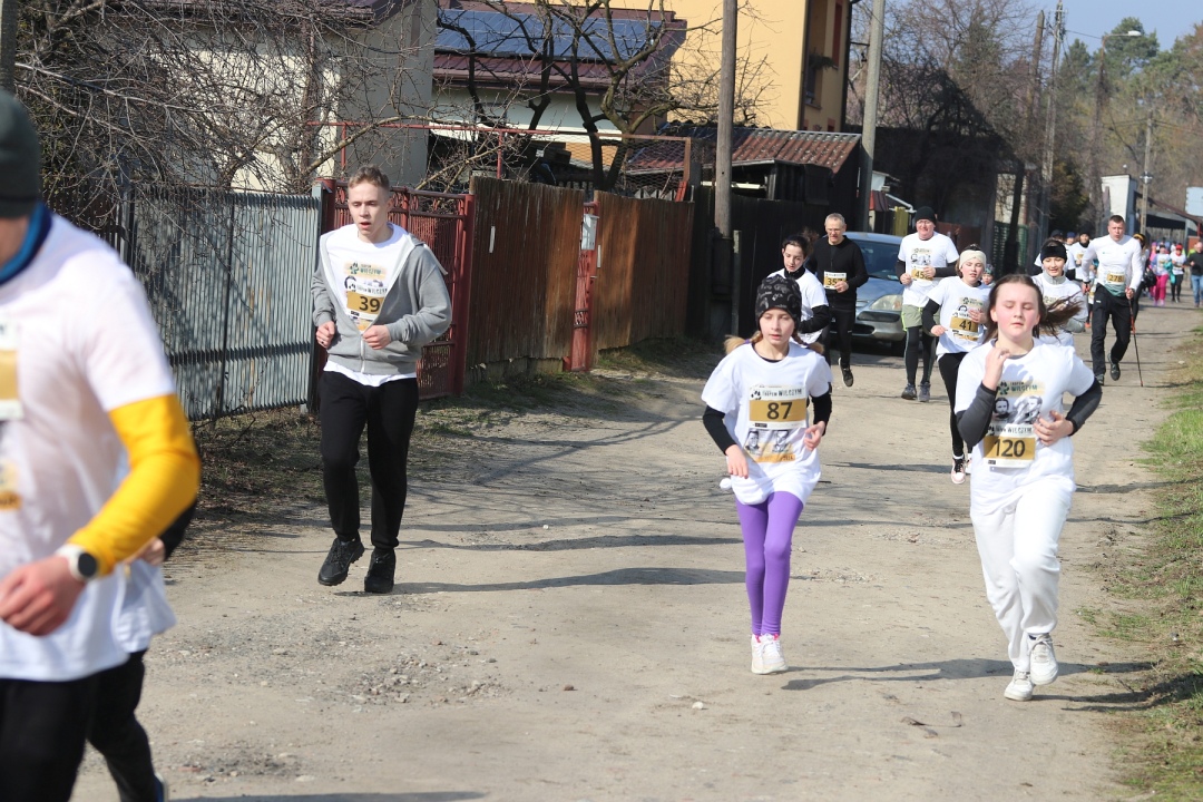 Bieg Tropem Wilczym 2024 [03.03.2024] - zdjęcie #168 - eOstroleka.pl