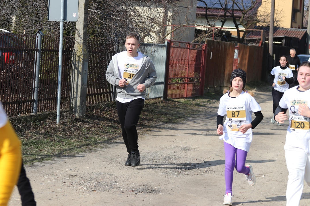 Bieg Tropem Wilczym 2024 [03.03.2024] - zdjęcie #167 - eOstroleka.pl