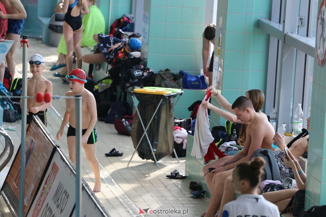 Zawody pływackie w Ostrołęce [03.03.2024] - zdjęcie #47 - eOstroleka.pl