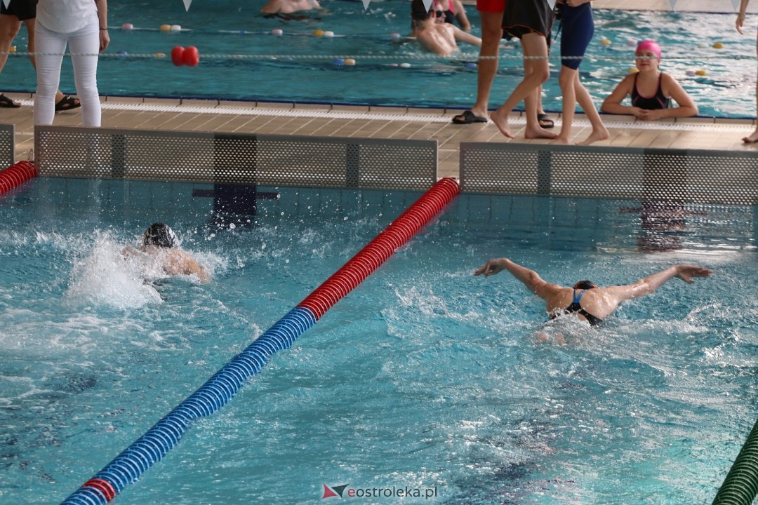 Zawody pływackie w Ostrołęce [03.03.2024] - zdjęcie #29 - eOstroleka.pl