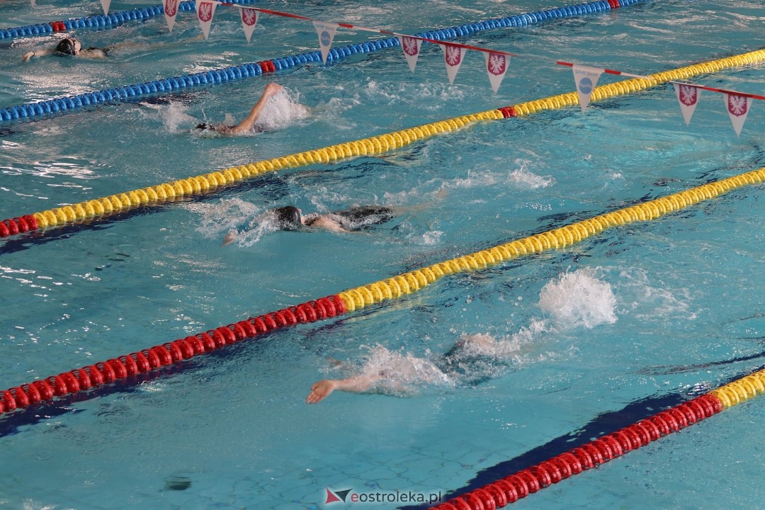 Zawody pływackie w Ostrołęce [03.03.2024] - zdjęcie #24 - eOstroleka.pl