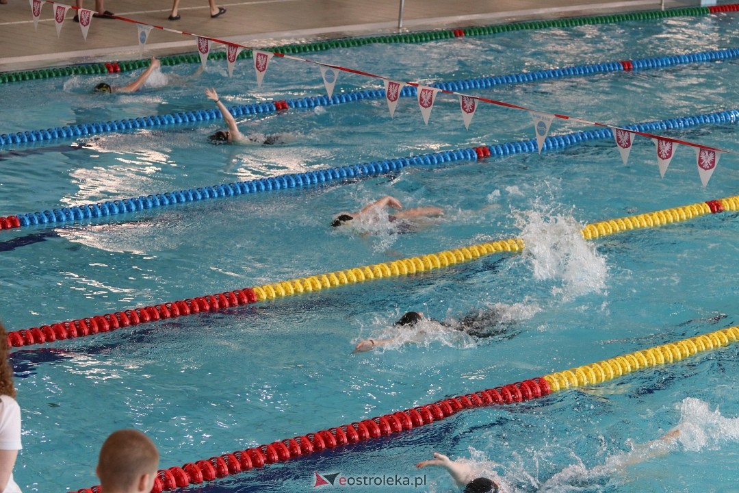 Zawody pływackie w Ostrołęce [03.03.2024] - zdjęcie #23 - eOstroleka.pl
