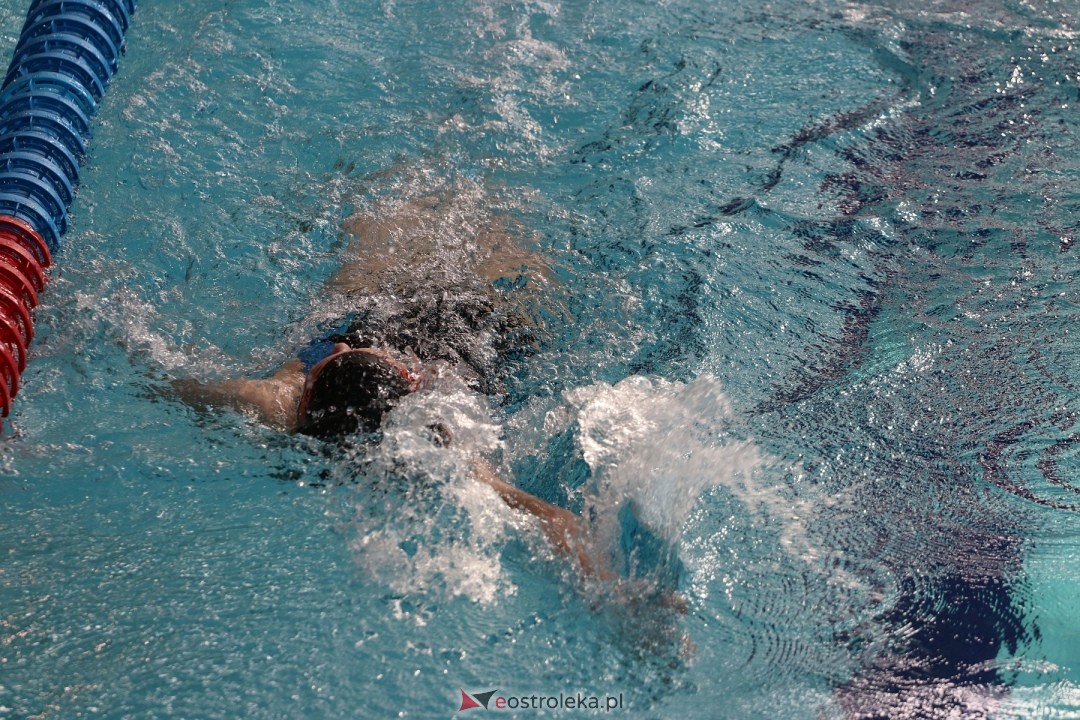 Zawody pływackie w Ostrołęce [03.03.2024] - zdjęcie #20 - eOstroleka.pl
