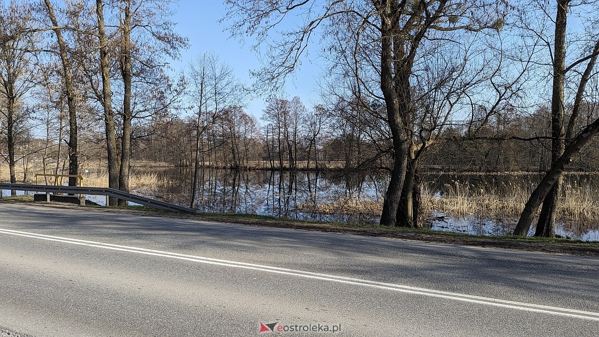 Rozlewiska Narwi w Ostrołęce: Piękno i zagrożenie [07.03.2024] - zdjęcie #26 - eOstroleka.pl