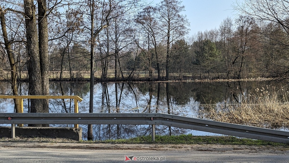 Rozlewiska Narwi w Ostrołęce: Piękno i zagrożenie [07.03.2024] - zdjęcie #23 - eOstroleka.pl