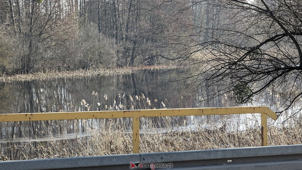Rozlewiska Narwi w Ostrołęce: Piękno i zagrożenie [07.03.2024] - zdjęcie #20 - eOstroleka.pl