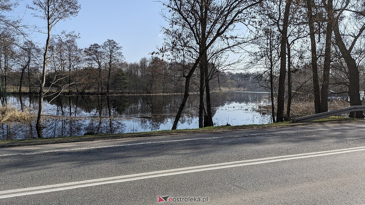 Rozlewiska Narwi w Ostrołęce: Piękno i zagrożenie [07.03.2024] - zdjęcie #16 - eOstroleka.pl
